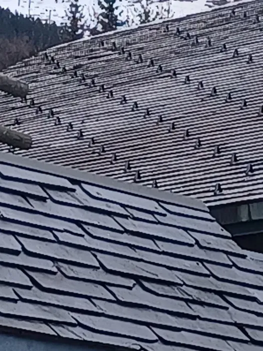 realisation-toiture-lauze-abdo-et-samira